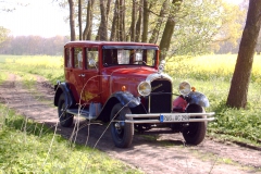 Rügenrundfahrt mit der Limousine
