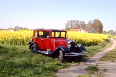 Frühling auf Rügen