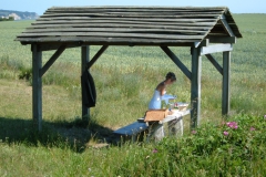 Picknick im Grünen
